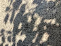 Giallo Ornamental