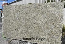 Beige Butterfly